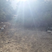 Sun's rays upon a rock-lined path
