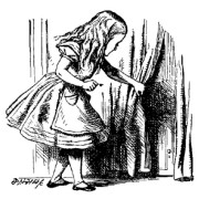 Alice in Wonderland Small door